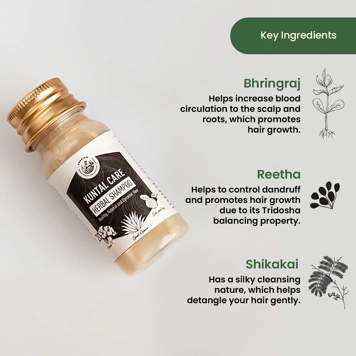 Amrutam Kuntal Care Herbal Shampoo | Healthy, Natural and Dynamic Hair | Travel Pack - Image 3