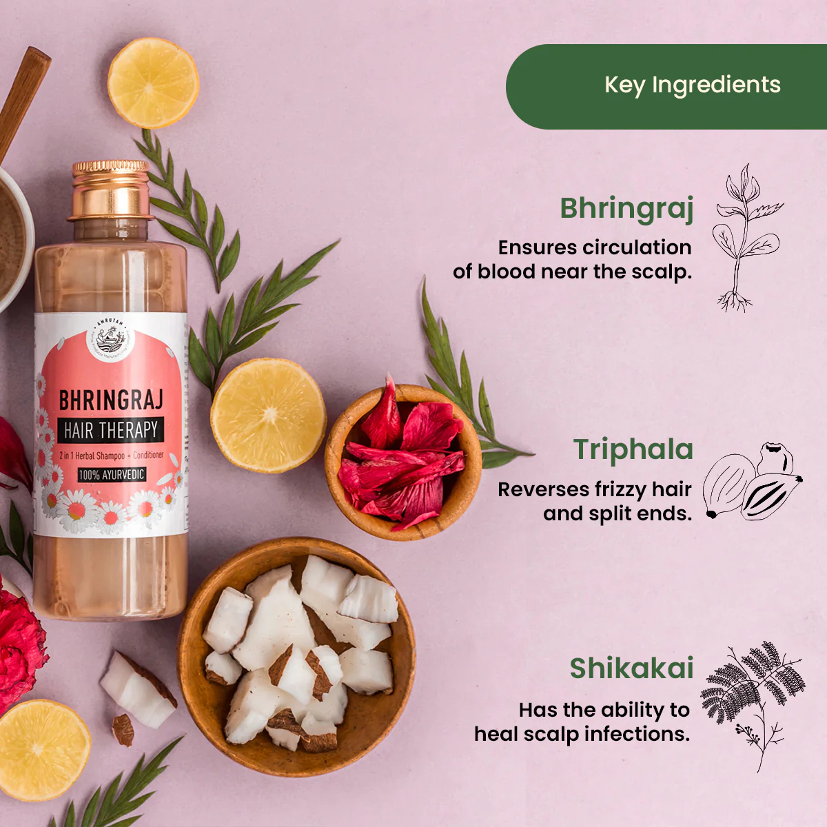 Amrutam Bhringraj Hair Therapy | 2-in-1 Conditioner and Shampoo - Image 3