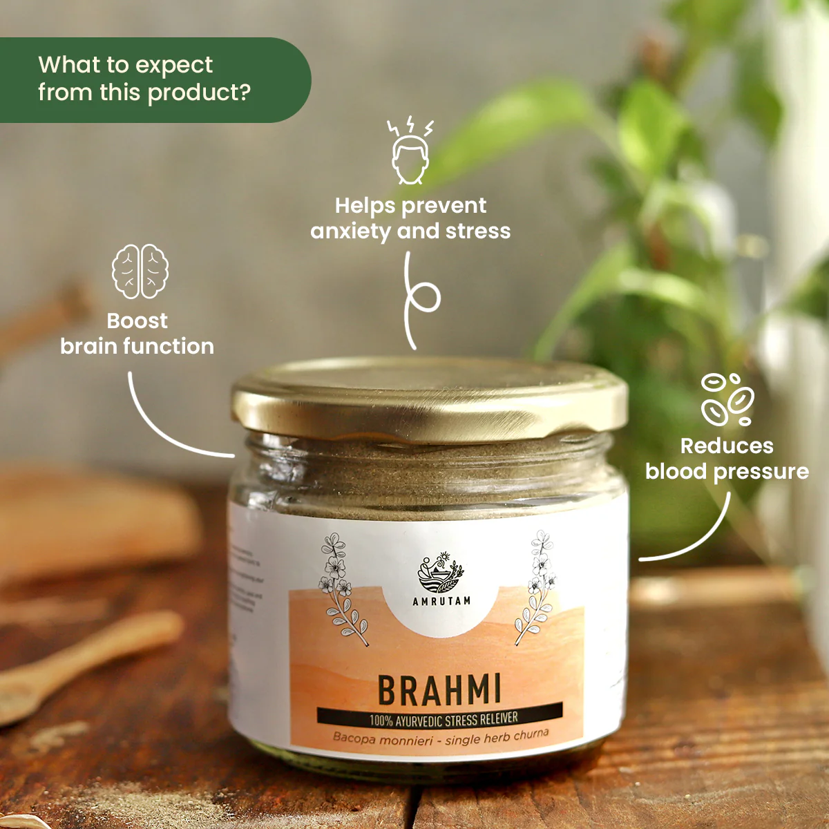 Amrutam Brahmi Churna | Ayurvedic Stress Reliever - Image 2
